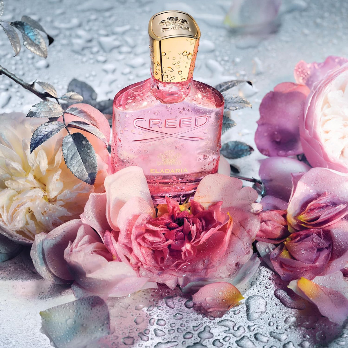 Creed Eladaria, Women’S Luxury Perfume, Floral Rose, Powdery & Musky Fragrance, 75ML