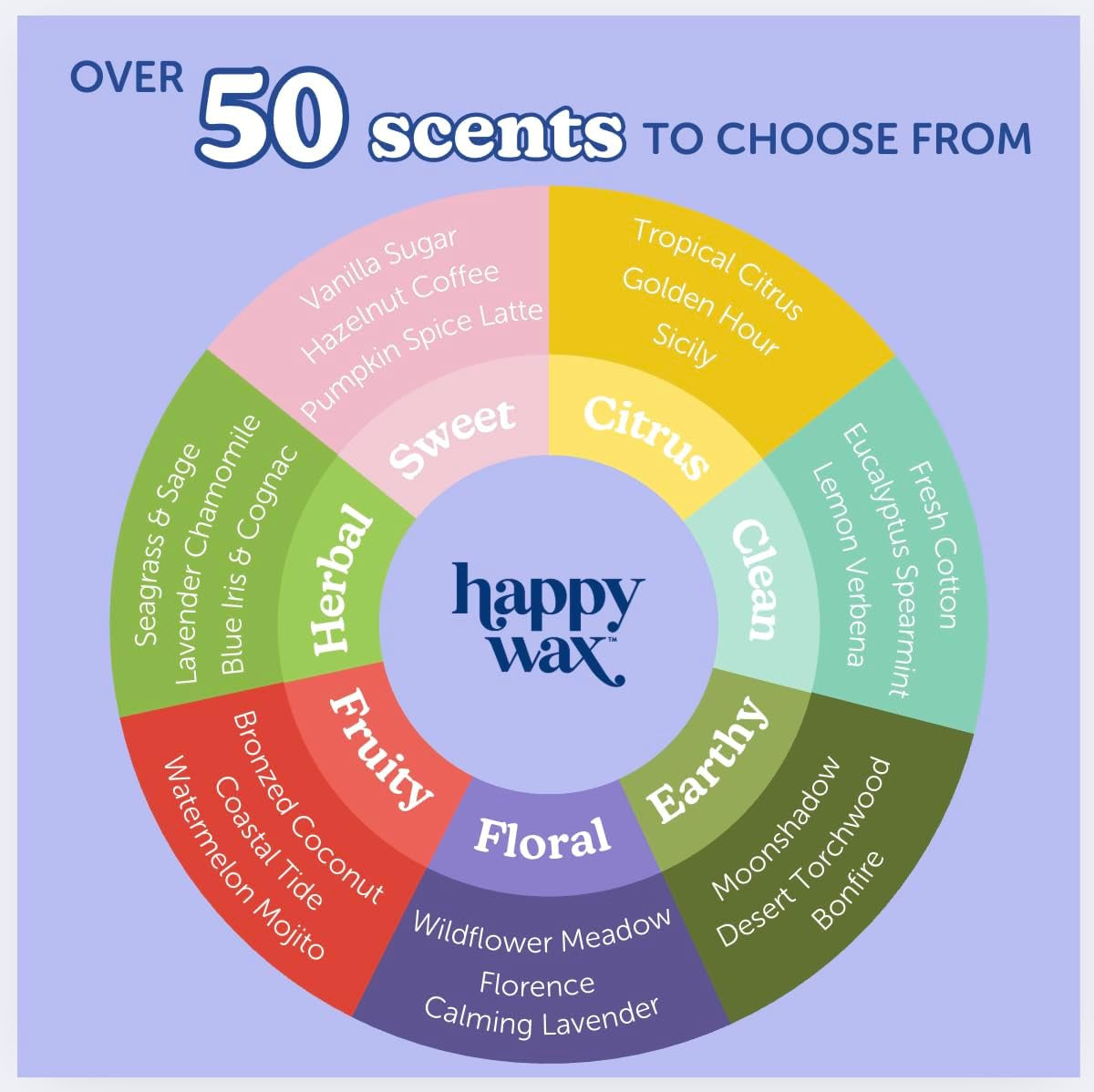 Fall Scented Soy Wax Melts 6Oz Variety Pack - Fall Mix