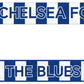 Official Chelsea FC Scarf - Unisex Adult