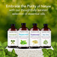 Peppermint Essential Oil for Diffuser - 4 Fl Oz
