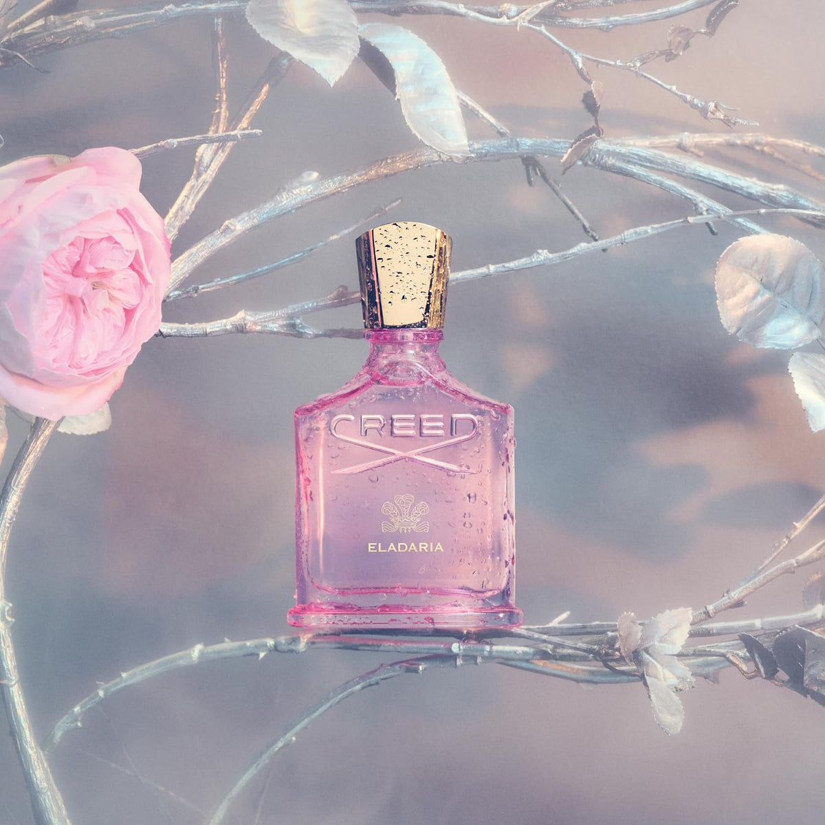 Creed Eladaria, Women’S Luxury Perfume, Floral Rose, Powdery & Musky Fragrance, 75ML