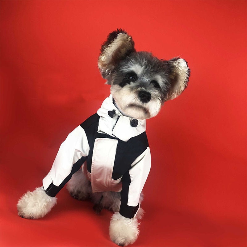 Schnauzer Winter Coat for Poodle Chihuahua Detachable Jacket for Bichon Frise PC1163