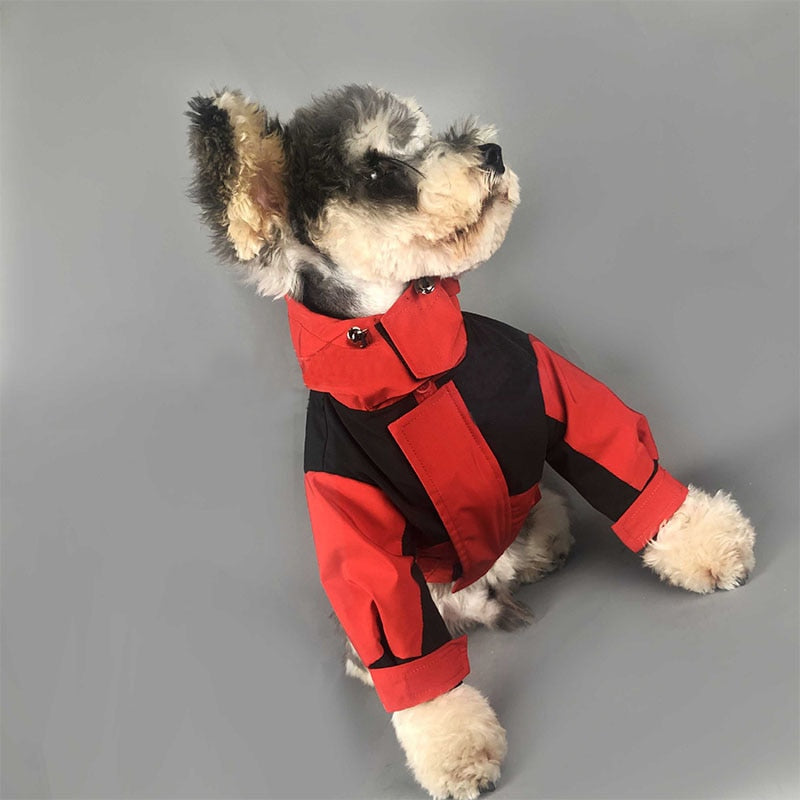 Schnauzer Winter Coat for Poodle Chihuahua Detachable Jacket for Bichon Frise PC1163