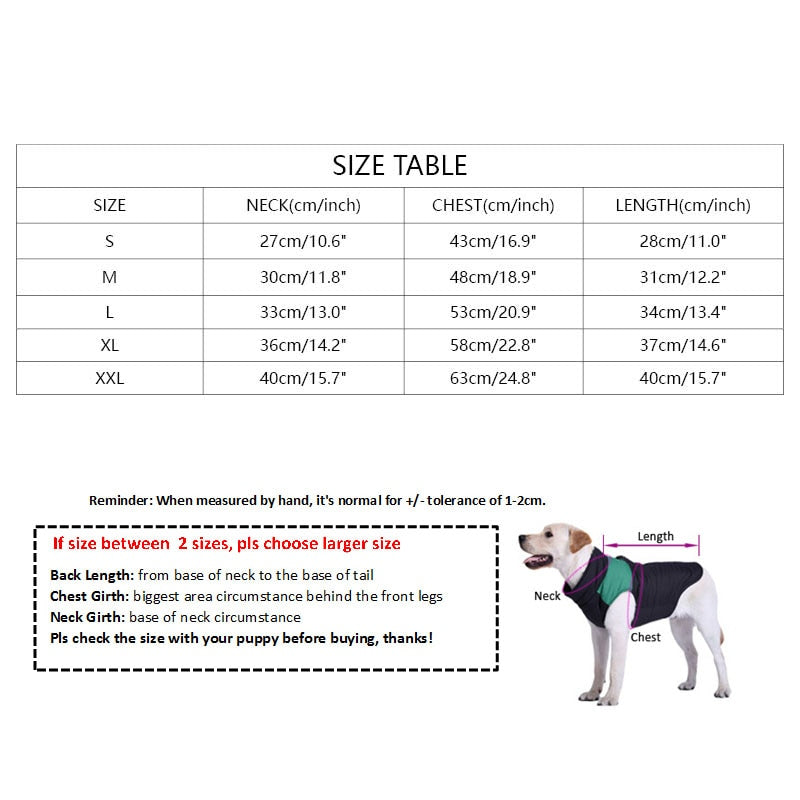 Schnauzer Winter Coat for Poodle Chihuahua Detachable Jacket for Bichon Frise PC1163