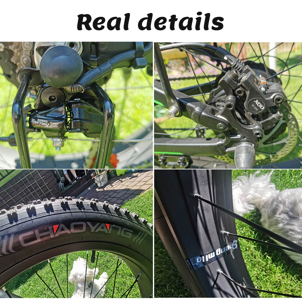 ShengmiloElectric Bike1000